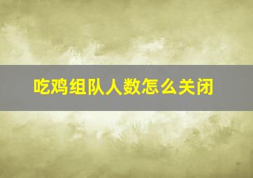 吃鸡组队人数怎么关闭