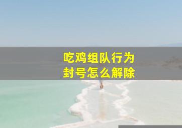 吃鸡组队行为封号怎么解除