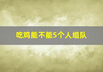 吃鸡能不能5个人组队