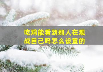 吃鸡能看到别人在观战自己吗怎么设置的