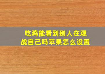 吃鸡能看到别人在观战自己吗苹果怎么设置