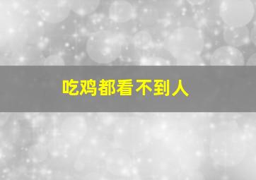 吃鸡都看不到人