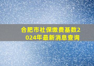 合肥市社保缴费基数2024年最新消息查询