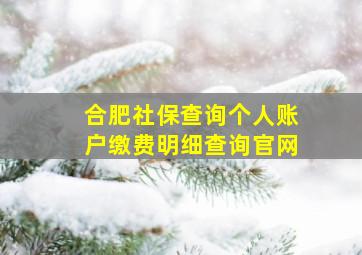 合肥社保查询个人账户缴费明细查询官网