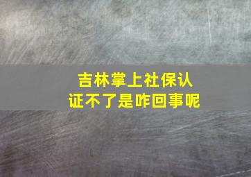 吉林掌上社保认证不了是咋回事呢