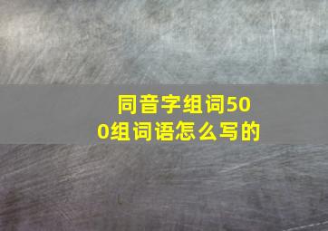 同音字组词500组词语怎么写的