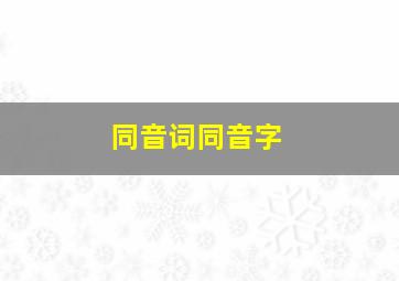 同音词同音字