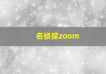 名侦探zoom