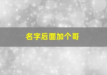 名字后面加个哥