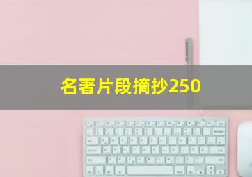 名著片段摘抄250