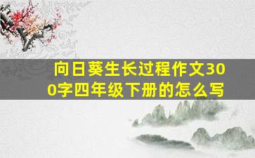 向日葵生长过程作文300字四年级下册的怎么写