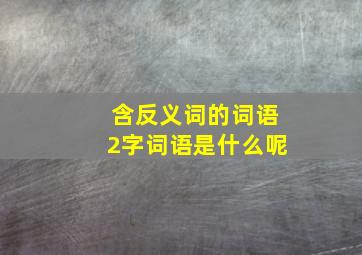 含反义词的词语2字词语是什么呢