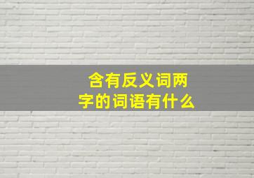 含有反义词两字的词语有什么