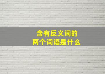 含有反义词的两个词语是什么