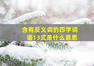 含有反义词的四字词语13式是什么意思