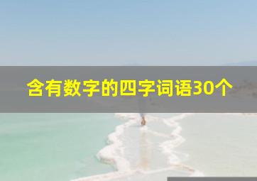 含有数字的四字词语30个