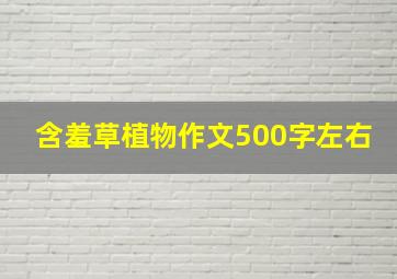 含羞草植物作文500字左右