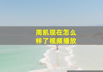 周凯现在怎么样了视频播放