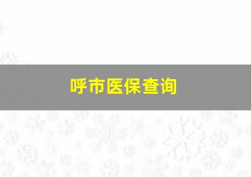 呼市医保查询