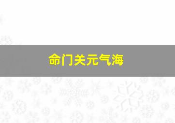 命门关元气海