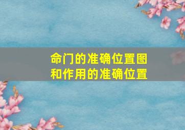 命门的准确位置图和作用的准确位置