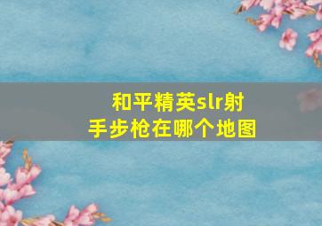 和平精英slr射手步枪在哪个地图