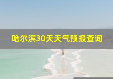 哈尔滨30天天气预报查询