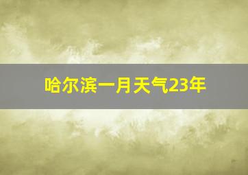 哈尔滨一月天气23年