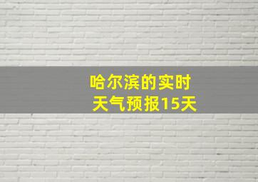 哈尔滨的实时天气预报15天