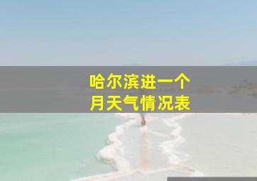 哈尔滨进一个月天气情况表