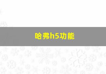 哈弗h5功能