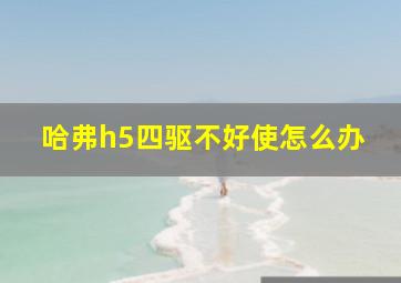 哈弗h5四驱不好使怎么办