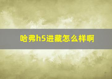 哈弗h5进藏怎么样啊