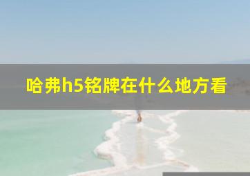 哈弗h5铭牌在什么地方看