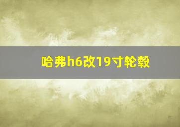 哈弗h6改19寸轮毂