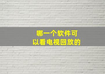 哪一个软件可以看电视回放的