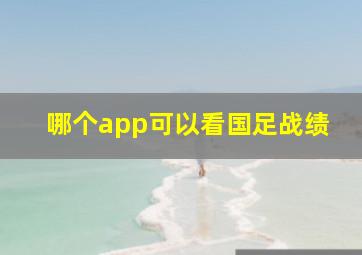 哪个app可以看国足战绩