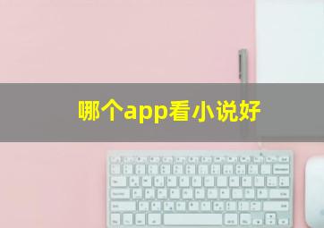 哪个app看小说好