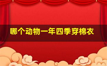 哪个动物一年四季穿棉衣