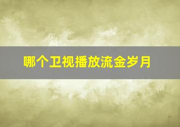 哪个卫视播放流金岁月