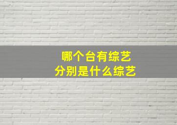 哪个台有综艺分别是什么综艺