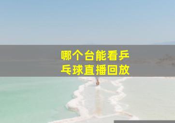 哪个台能看乒乓球直播回放