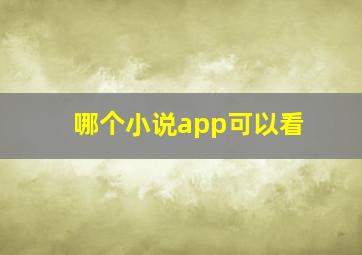 哪个小说app可以看