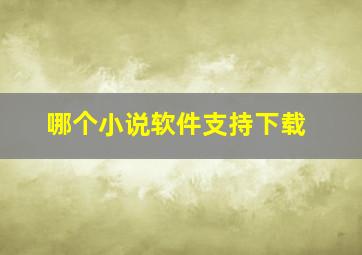 哪个小说软件支持下载