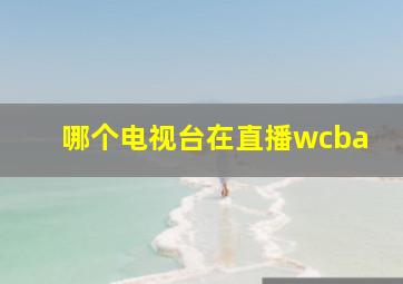 哪个电视台在直播wcba