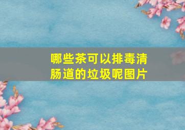 哪些茶可以排毒清肠道的垃圾呢图片