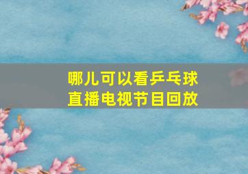 哪儿可以看乒乓球直播电视节目回放