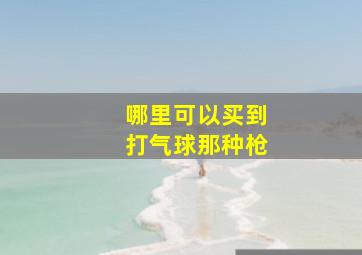 哪里可以买到打气球那种枪