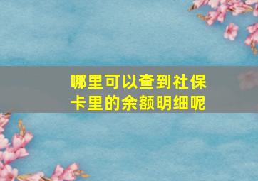 哪里可以查到社保卡里的余额明细呢