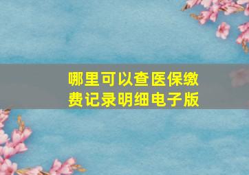 哪里可以查医保缴费记录明细电子版